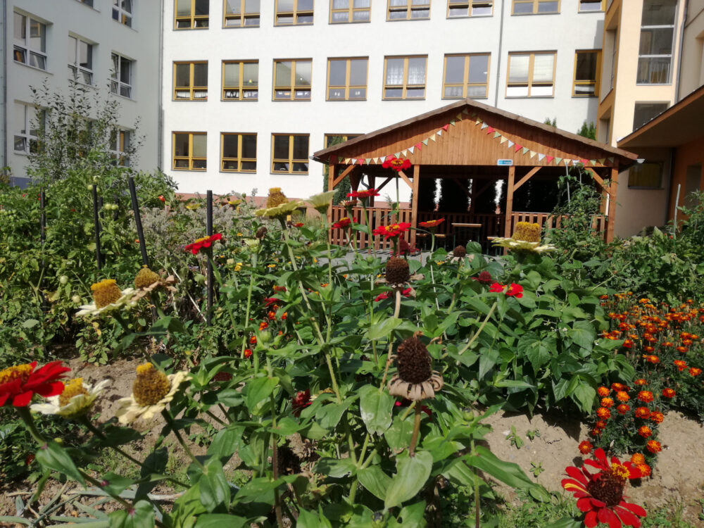 Školní zahrada ZŠ Krásovy domky