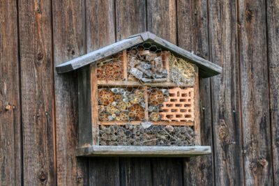 Domečky pro včelky samotářky