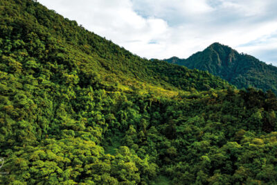 Podpora záchrany deštného pralesa na Kostarice